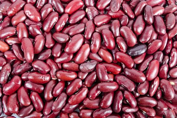 Protection Against Chronic Kidney Disease (CKD)