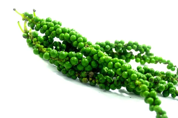 Antioxidant Properties