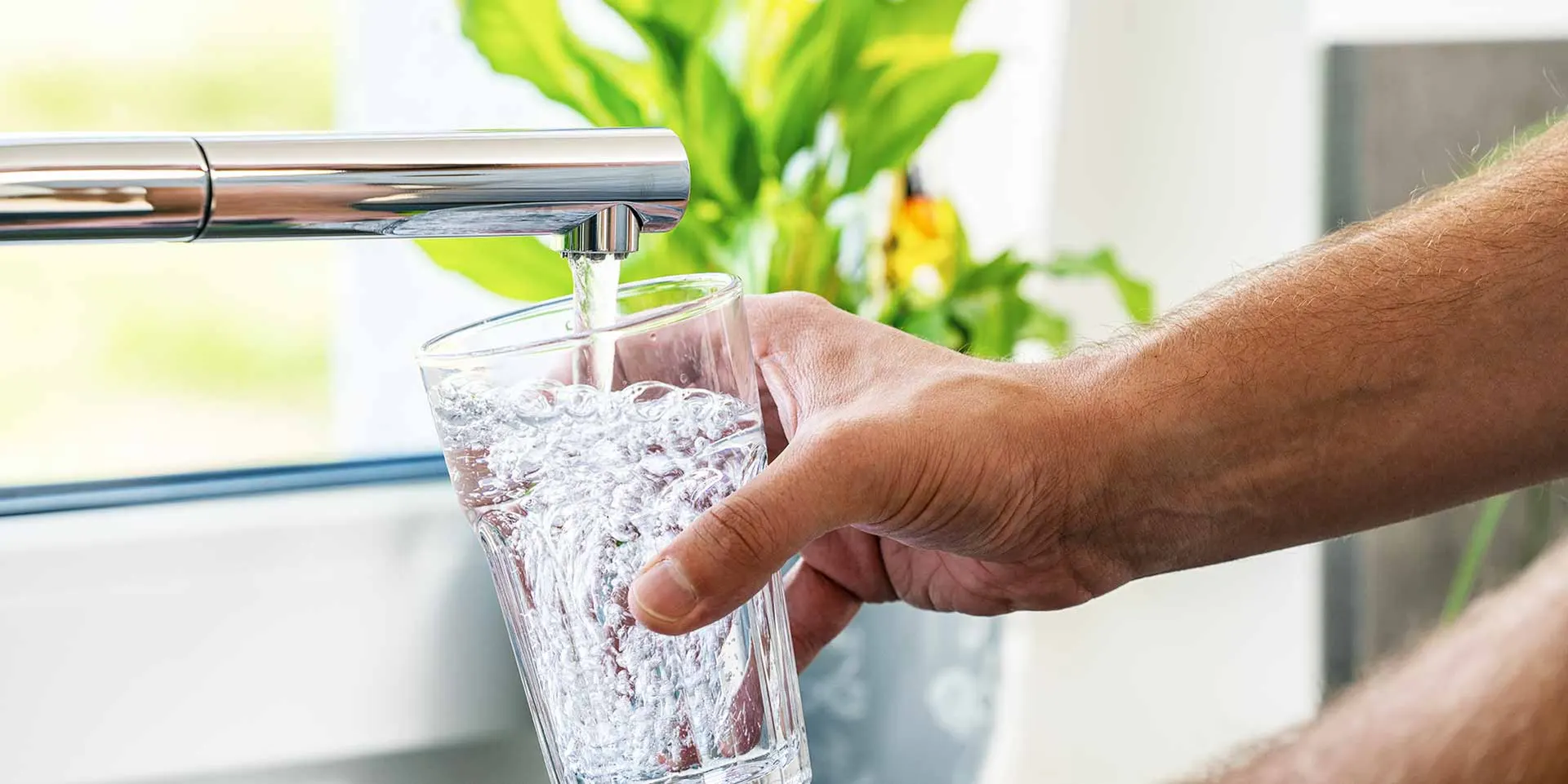 tap water