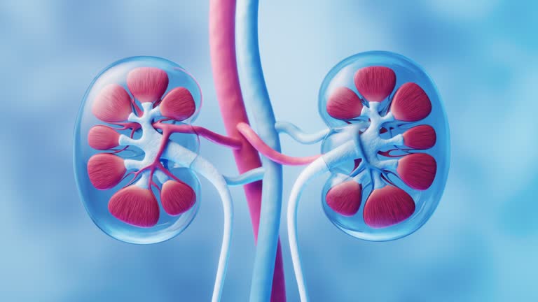 Improvement in Renal Function