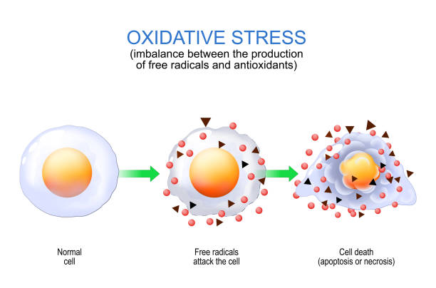 Free Radicals